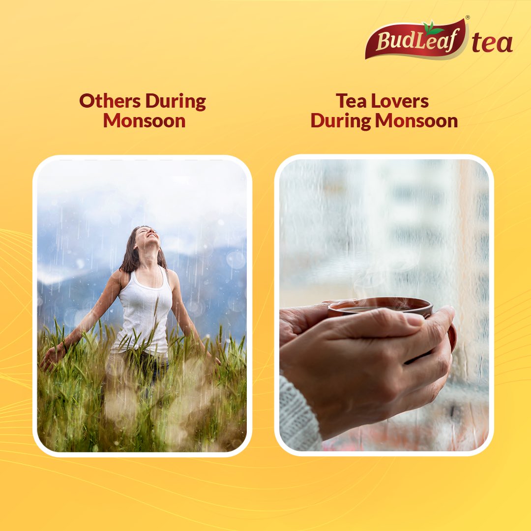 Monsoon is for Tea ☕ and the beautiful feeling that comes along with every sip. 🌈

#BudLeafTea #BudLeaf #MonsoonSpecial #RainyDays #SukoonWaliChai #Chai