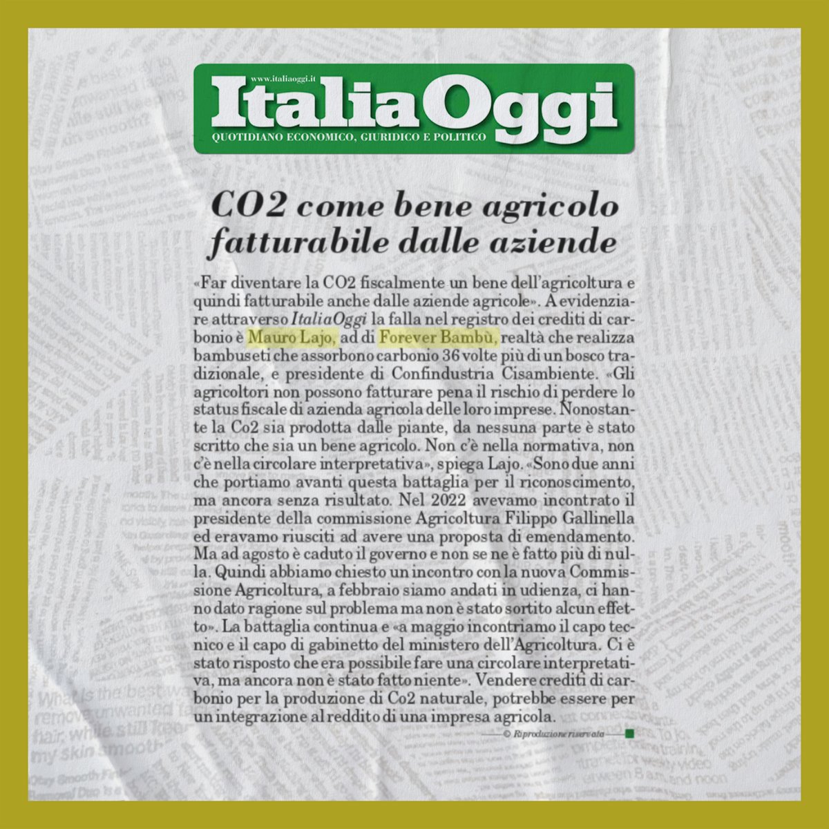L'assorbimento di #CO2 può diventare un asset fatturabile per il settore agricolo, dandogli un eccezionale stimolo di crescita 🎍

Grazie ad <a href="/ItaliaOggi/">ItaliaOggi</a> 👏

Per scoprire di più ➡️foreverbambu.com

#foreverbambù #foreverzeroco2 #bambùgigante #green #greeneconomy