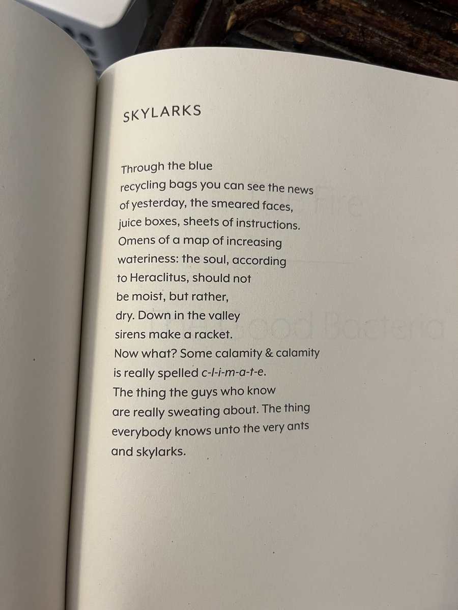 Klara du Plessis tweet media