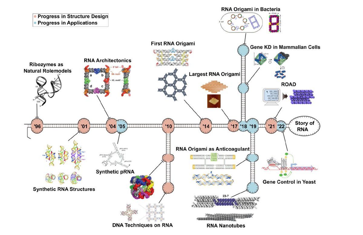 Curious about the new world of RNA origami and why we are so excited about it? Check out our review tandfonline.com/doi/full/10.10… Kudos to a number of excellent scientists in the field.