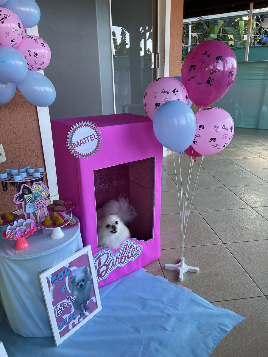 ixtelisg's tweet photo. Fiz uma caixa da Barbie para o aniversário da minha doguinha e ela ficou a coisa mais fofa na decoração https://t.co/QYVj7Bu90p
