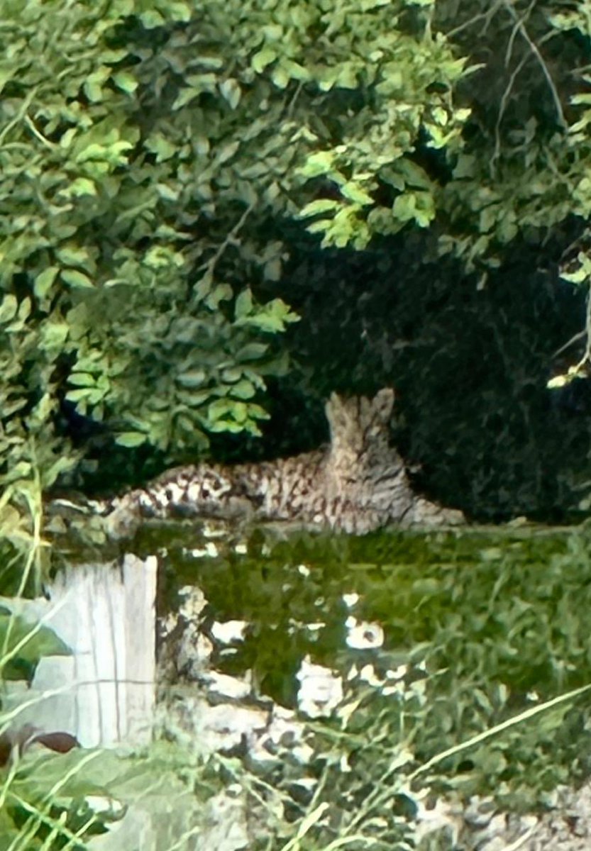 Pratham Varshney tweet media