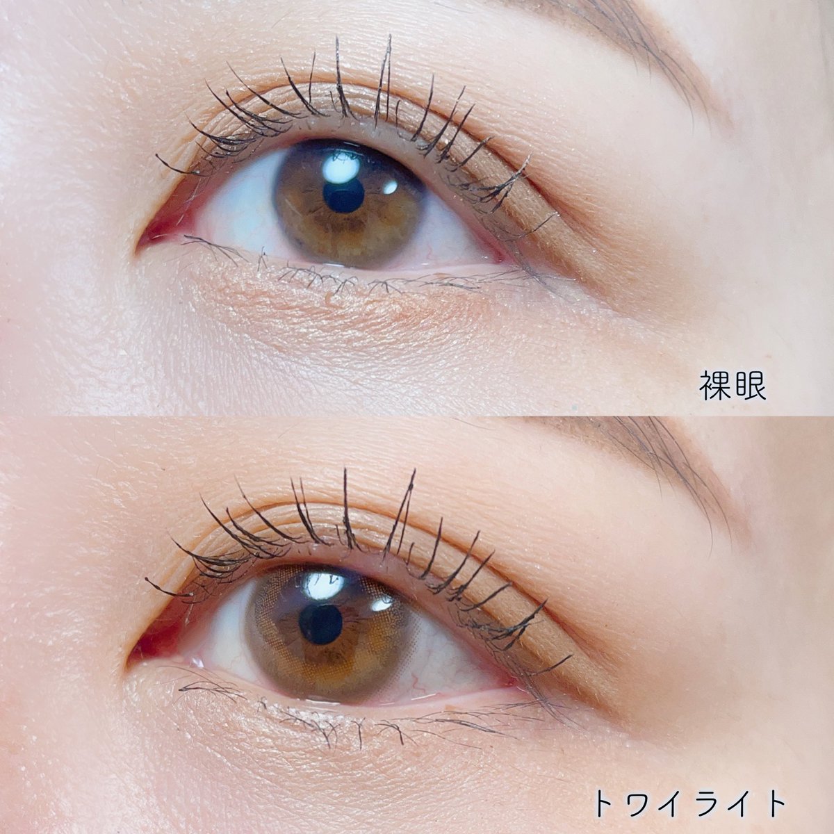 su_chaaaaaaaaan's tweet photo. 黒目を活かす🫧💎❄️
【 国内最小 DIA 13.8mm 】
カラコンの縁が黒目と馴染み自然な仕上がりに🤍グレーとオレンジブラウンの絶妙カラー✨
光を取り込んで、裸眼よりも透明感が増す┈♡ﾞ
@hotelloversjp 
#PR #ホテラバ  #アイシクル #トワイライト #カラコン #カラコンレポ #ホテルラバーズ #EYECICLE https://t.co/t80HT5vJN7