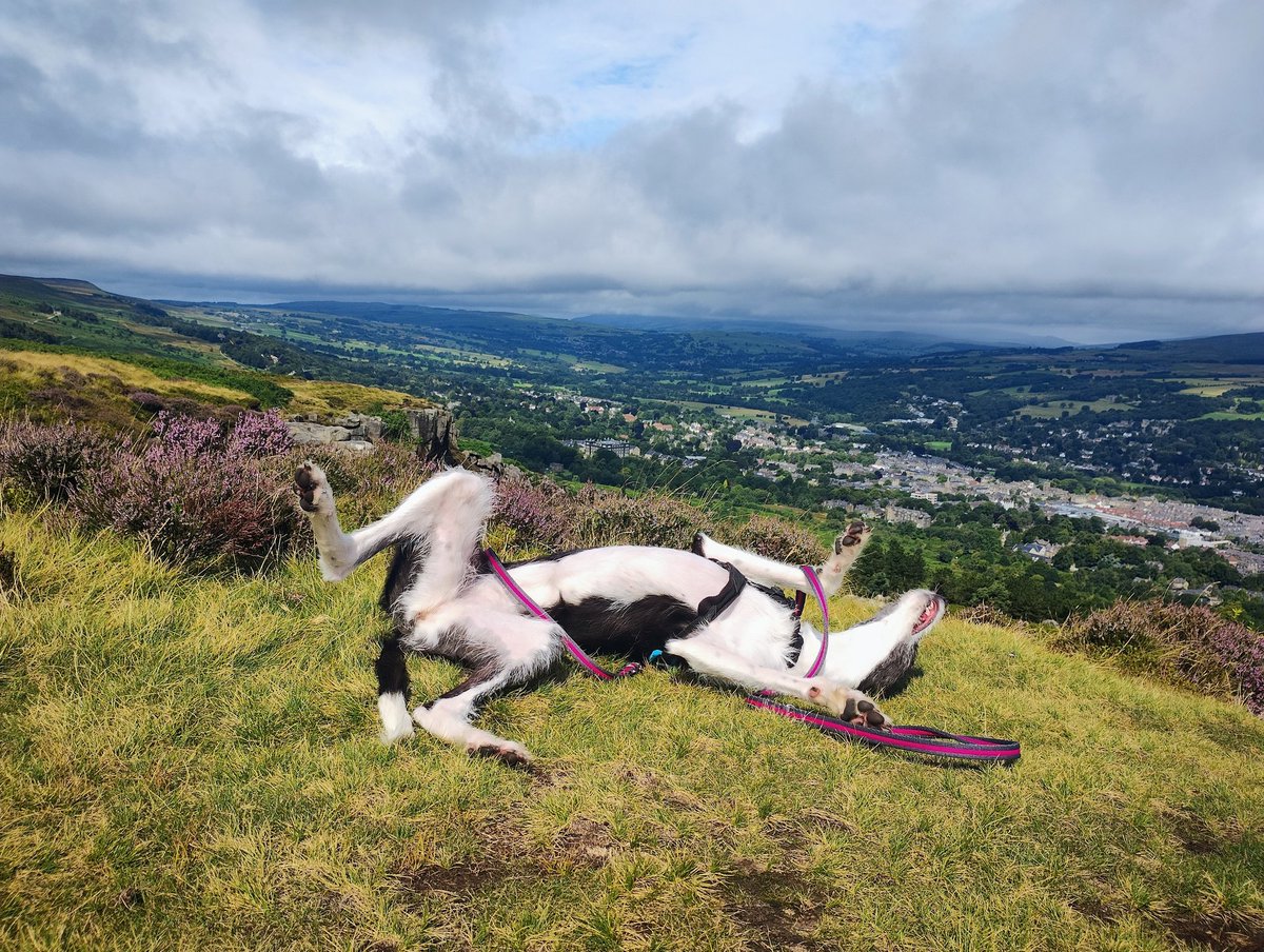 ▪️Objections▪️ tweet media