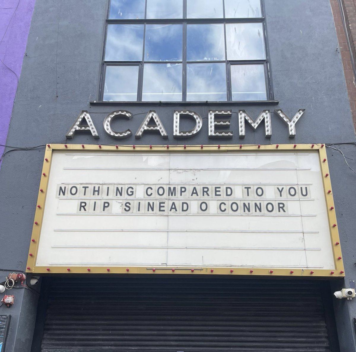 🕊️❤️ an icon.