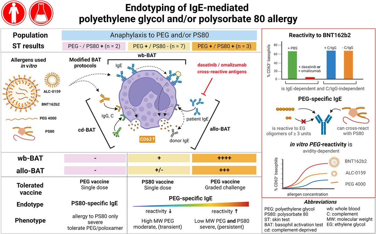 JACIInPractice's tweet photo. In Press! #Endotyping of IgE-Mediated #Polyethylene #Glycol and/or #Polysorbate 80 #Allergy https://t.co/YeZSpCJhLA https://t.co/U7njQf6A2j