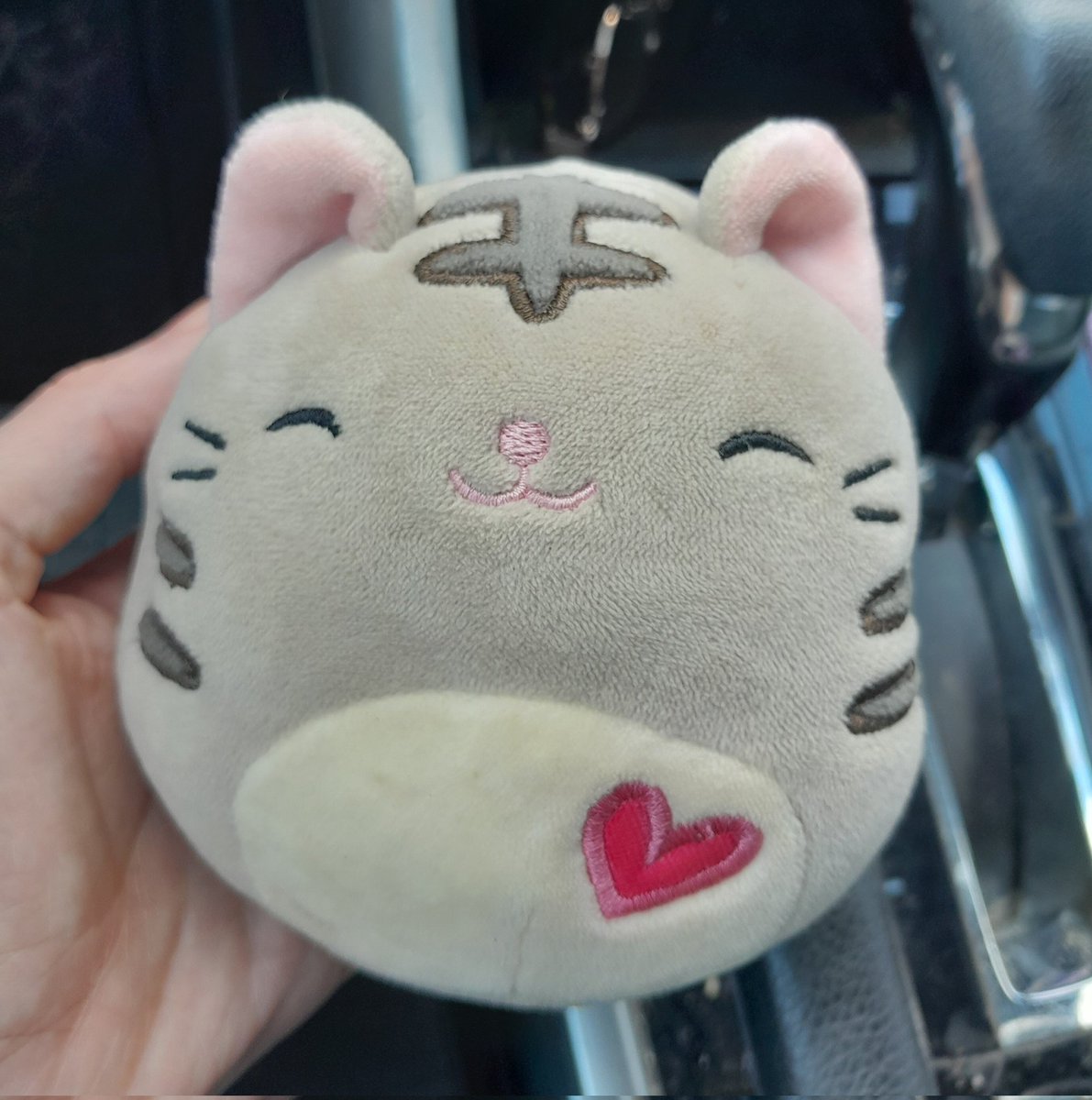 jdd_russell's tweet photo. Life pro tip: pick up trash in parking lots and sometimes you'll discover a new friend! https://t.co/sLxlEEF1wV