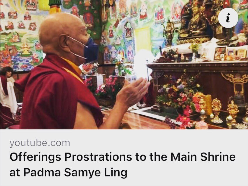 KhenpoRinpoche's tweet photo. Offerings #Prostrations to the Main Shrine at Padma Samye Ling
https://t.co/YBiSzicWYf https://t.co/QsyJ5JlEZX