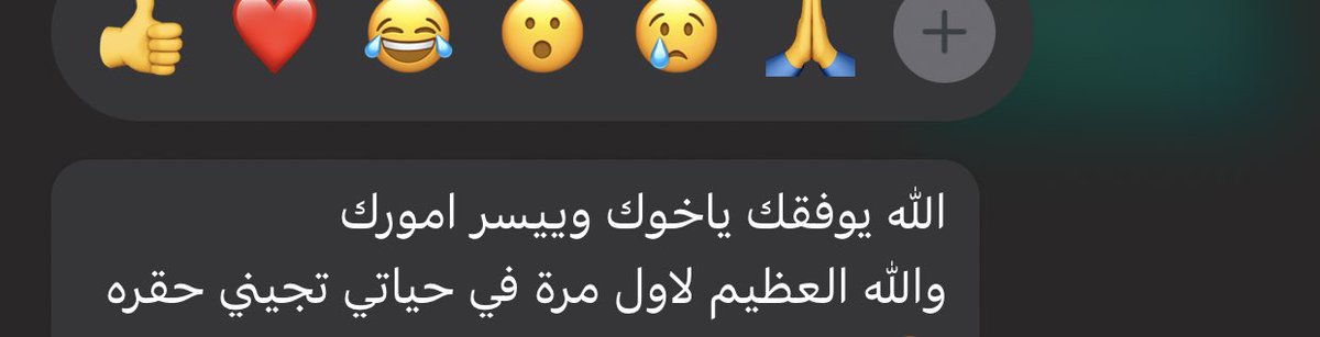 Ebtisam Alsayed. tweet media