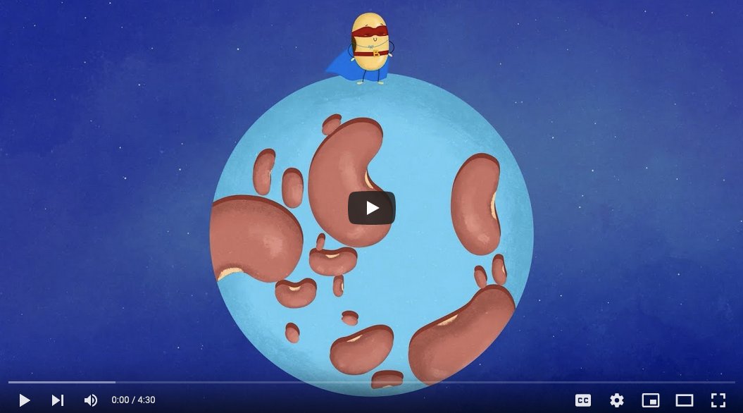 TableDebates's tweet photo. Can the humble bean help save the world?

Our new video with @bbcideas &amp; @oxsocsci highlights just how beans might help solve our interconnected climate &amp; food systems challenges.

Watch here: https://t.co/J0YU6w02N3 https://t.co/815FsUCZPY