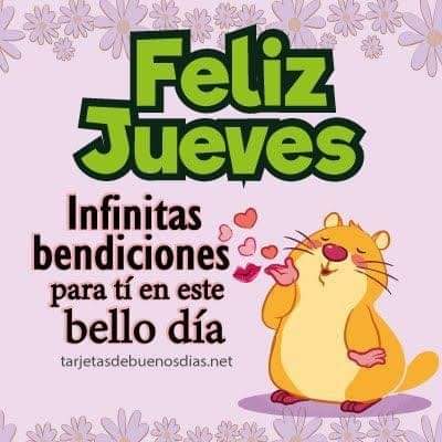 LuzSanchezY's tweet photo. Hola muy buenos días https://t.co/sAhF3lC4EC