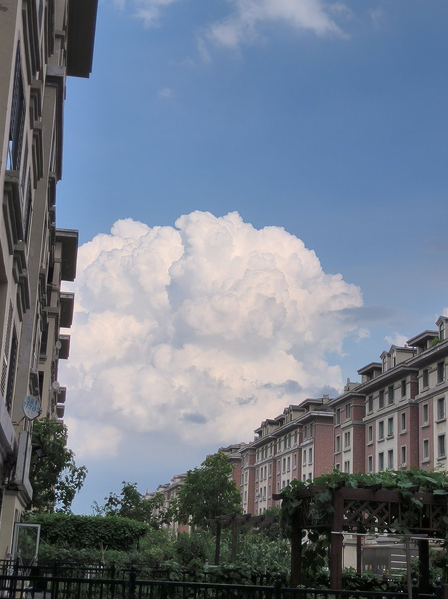 l16135144's tweet photo. 立体感的积雨云 https://t.co/pAZ182trmt