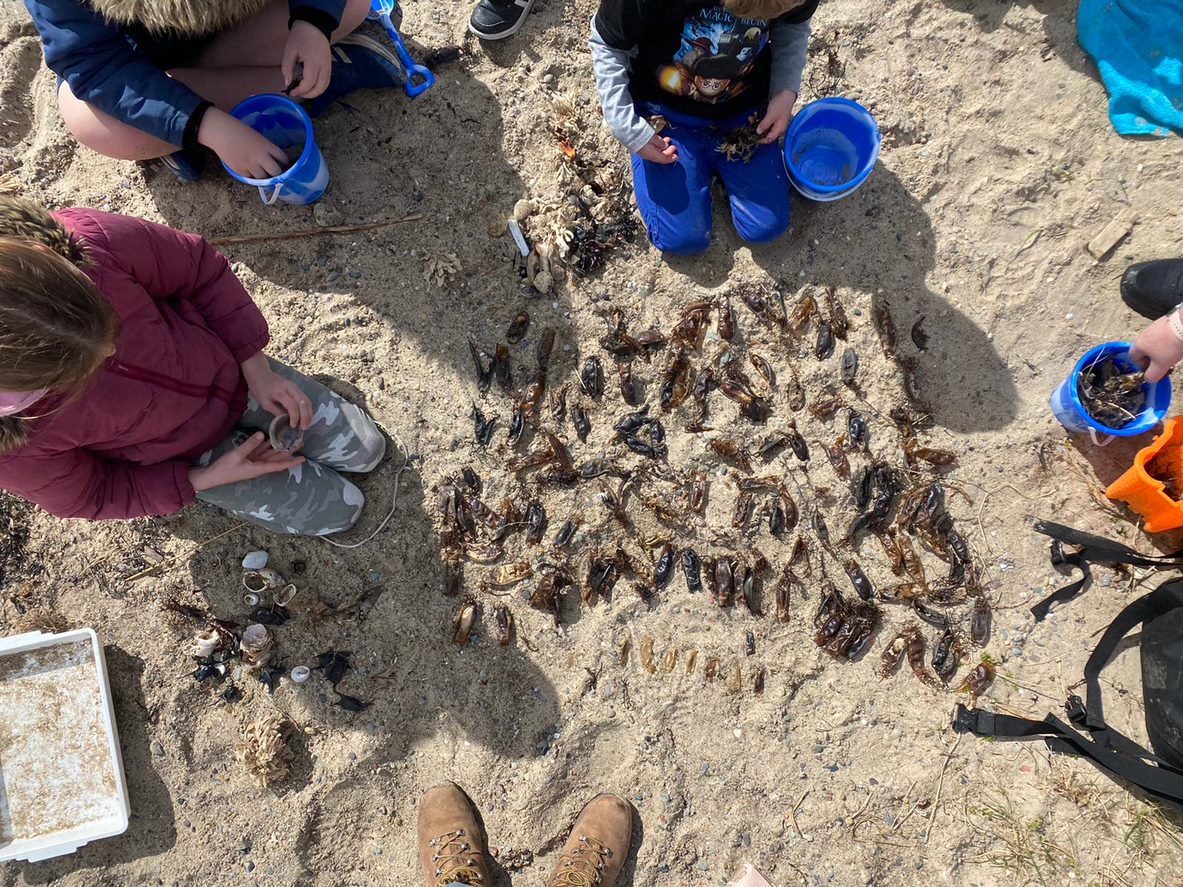 ‼️ Closing date this Sunday ‼️
Do you have experience implementing multi-stakeholder #community focussed projects?
🌊We're #hiring an EDI Community Officer to join our team &amp; lead the delivery of our community engagement work in North #Wales
➡️Apply here bit.ly/44lzZQx