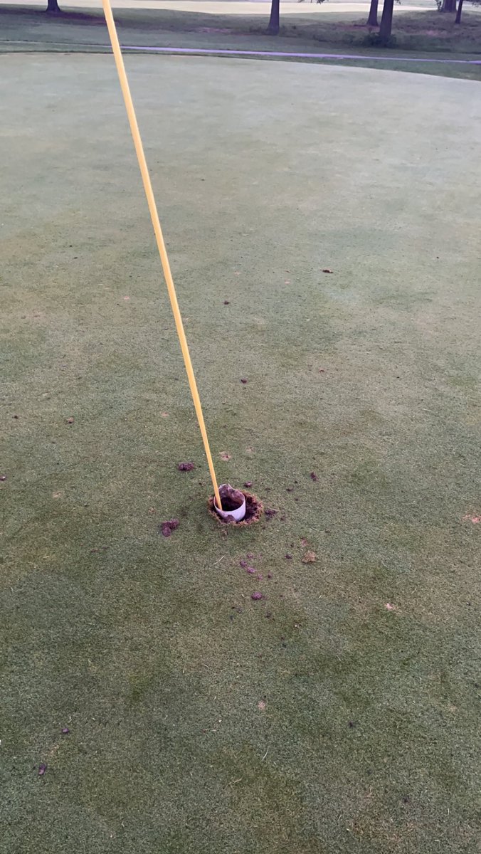 MinorParkGC's tweet photo. What I would give to catch these idiots one time…..😤 #Vandalism https://t.co/fIfVmcHFBM