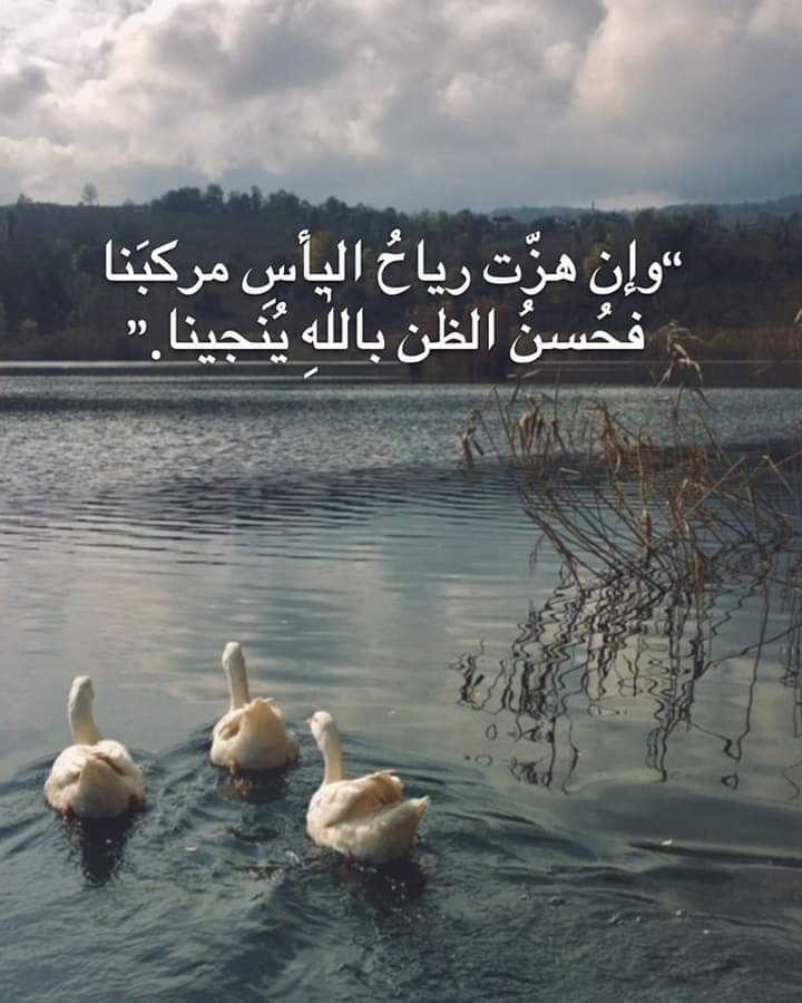 “وإن هزّت رياحُ اليأسِ مركبَنا فحُسنُ الظن باللٰهِ يُنجينا.”
توكلنا على الله.... 
•