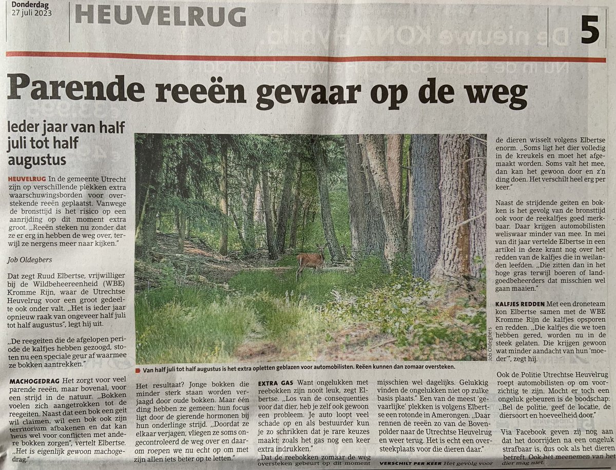 Leuk interview met Ruud Elbertse, vrijwilliger bij onze WBE. Over overstekende reeën en de extra gevaren in de bronstijd. 
Een kleine quiz: er staat een foutje in dit artikel. Wie ziet 'm?

#utrecht #ree #reewild #verkeer #verkeersveiligheid #utrechtseheuvelrug #provincieutrecht