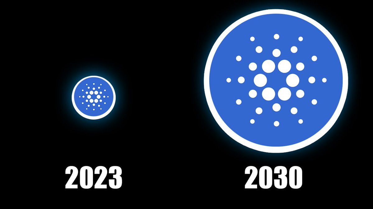 Dan Gambardello tweet media