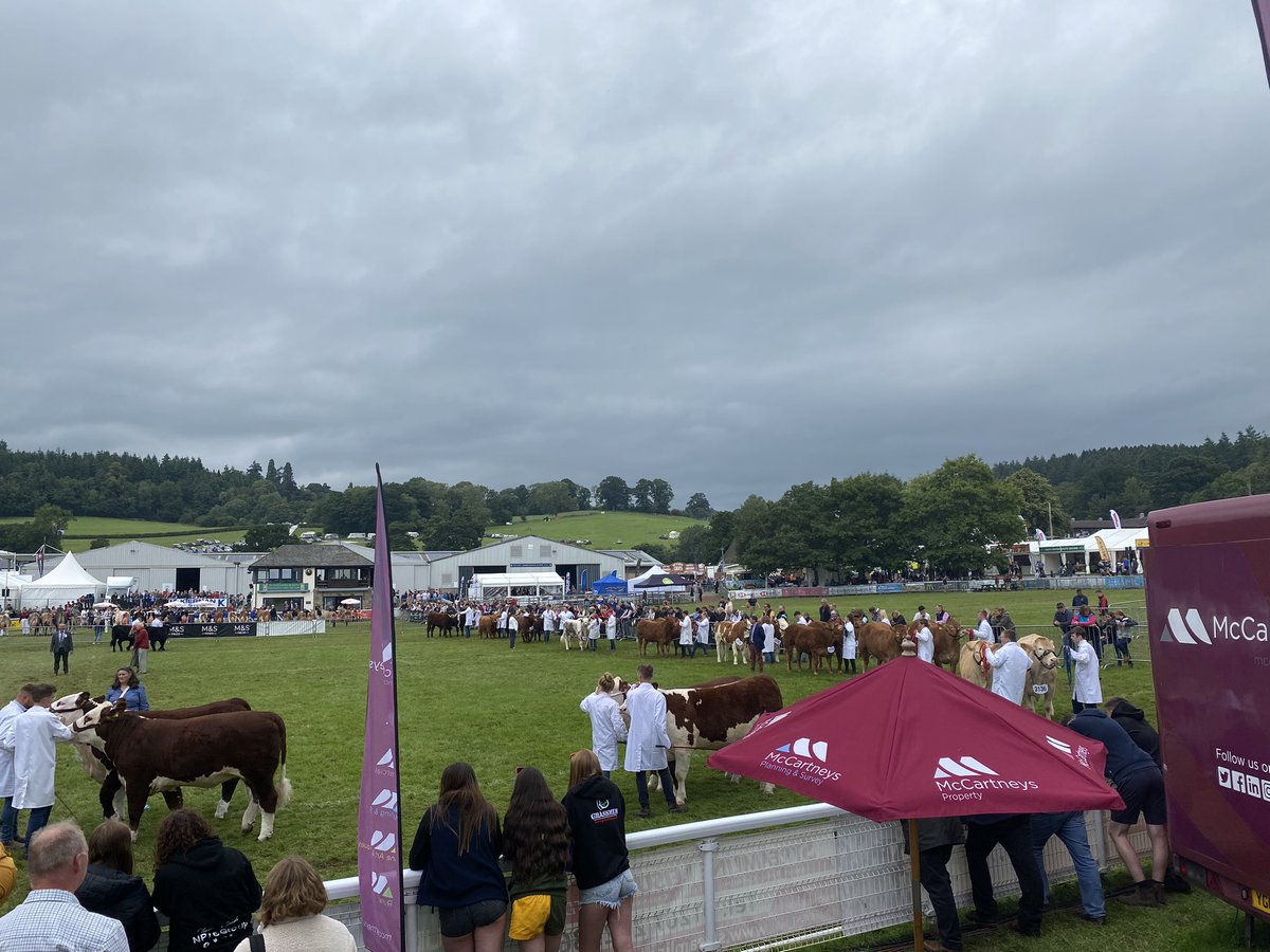 FinancePennant's tweet photo. Great couple of days at the @royalwelshshow meeting existing &amp; new contacts.
Back in the office today! #welshfarming #agriculture #finance https://t.co/iEpMe08zEA