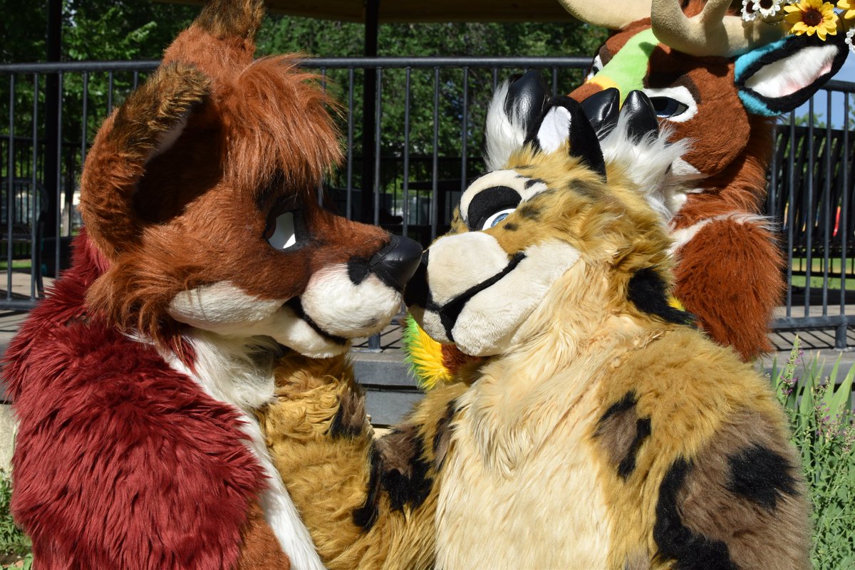 BaseProgression's tweet photo. I married my foxyote 4 years ago today! If anything, I love him even more now! ❤️ 💜

Happy anniversary, foxy! https://t.co/KKSP6KjXT1