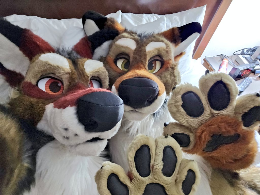 BaseProgression's tweet photo. I married my foxyote 4 years ago today! If anything, I love him even more now! ❤️ 💜

Happy anniversary, foxy! https://t.co/KKSP6KjXT1