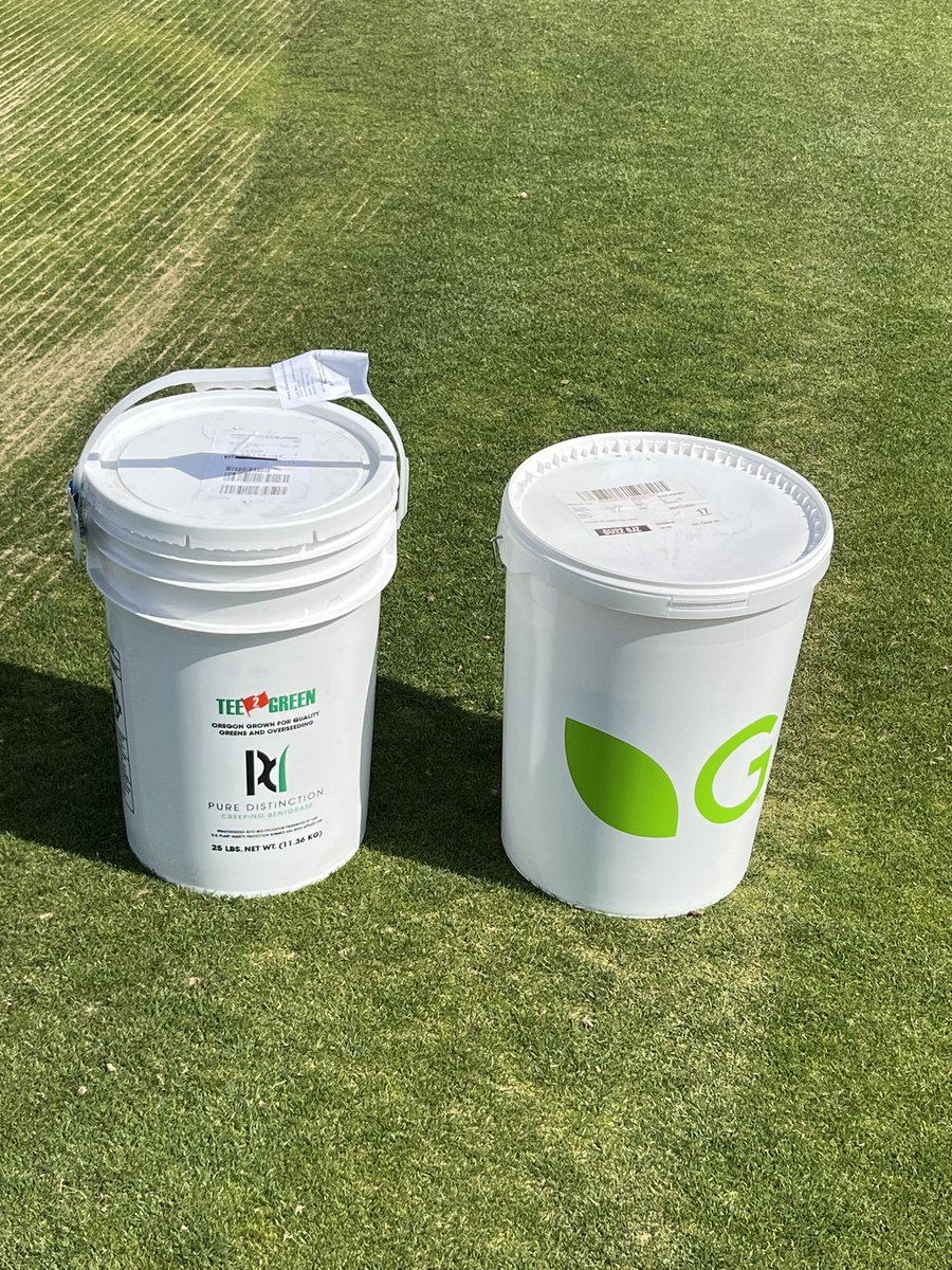 andy ewence (@andyewence) on Twitter photo Thanks to Dan <a href="/turfcare1/">Daniel Jones</a> for the supply of creeping bent and <a href="/SandyP_Germinal/">Sandy Pentecost</a> for the brown top bent to try and dilute the thick native bent that have really stood out in our greens this year. Not a short fix but the start of a long process. Thanks to Dan <a href="/turfcare1/">Daniel Jones</a> for the supply of creeping bent and <a href="/SandyP_Germinal/">Sandy Pentecost</a> for the brown top bent to try and dilute the thick native bent that have really stood out in our greens this year. Not a short fix but the start of a long process.
