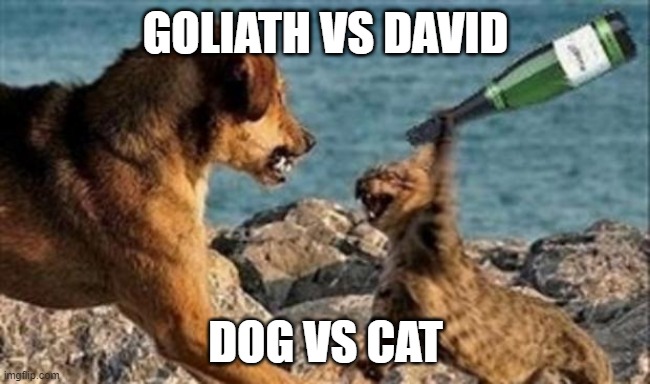 jimsanity888's tweet photo. Let the battle begins! #catecoin #catpay #nextpepe #catevsdoge #riseofcats https://t.co/r5jEMWtoqI