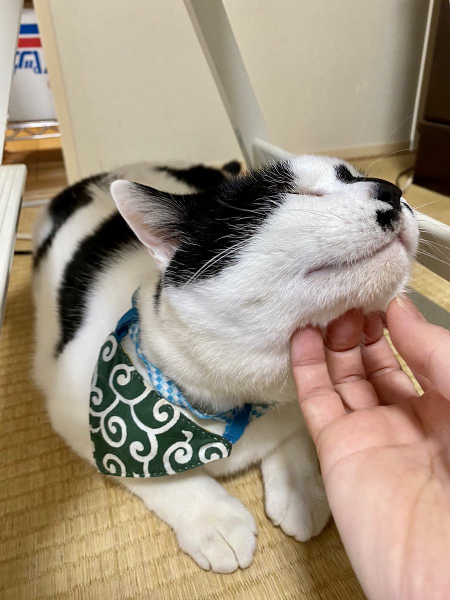 korogarumaru's tweet photo. No https://t.co/IyQCLqzwG3