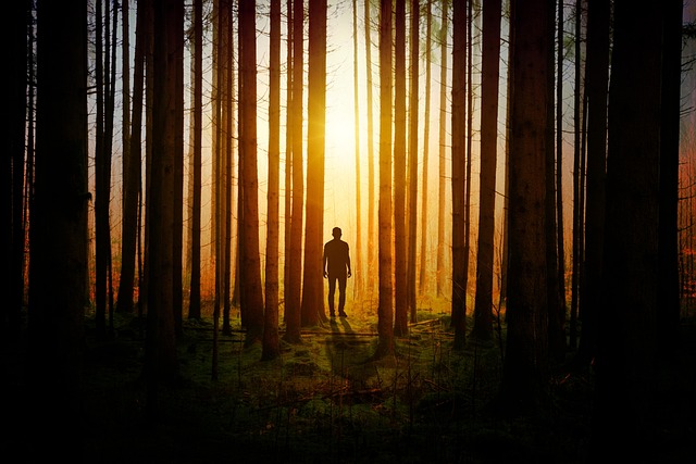 WordWitchLife's tweet photo. Good morning! Let's have a #writerslift!
Let's make some #connections and find new #creative things to love.
Share, RT, and Follow! Toss out your #links, #blogs, #websites, #books, #patreon, #poetry, #films, #plays, #comics, etc.
#authorsoftwitter #writers #readers #creators https://t.co/CHhDdHKLI6