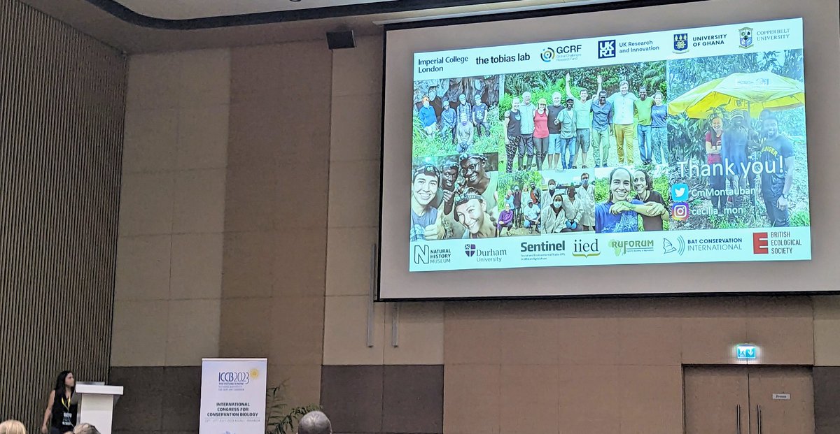 Amanda M. Adams tweet media