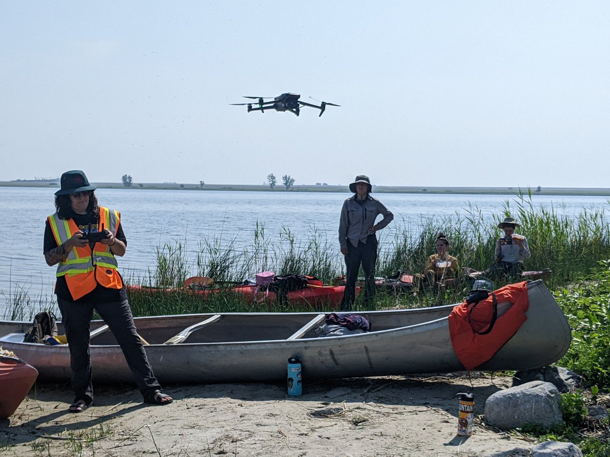 Janet Ng, Ph.D tweet media