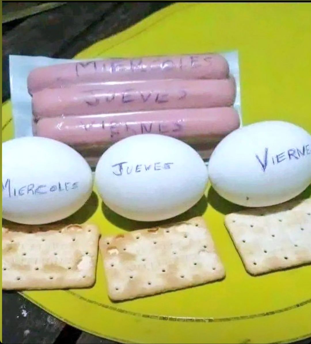 La heladera en la casa de Grabois, dónde viven 5 con 200 lucas.