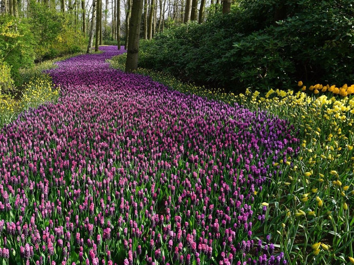 Newsletter July 2023: Register now - Impact Ecosystem Event - mailchi.mp/lmdf/annual-au…