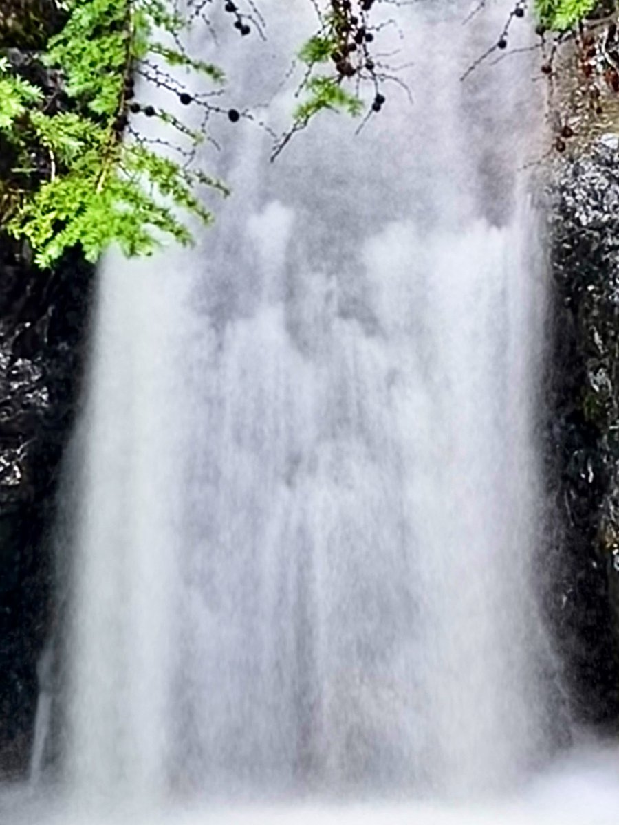 faerymere's tweet photo. ‘Our Lady Of The Foss’ only appears to those who care to see… 

#SecretPlaces #Grasmere #Thursday #LakeDistrict #WaterSprite 
@StormHour @ThePhotoHour 
@NorthWestFoss https://t.co/kRKo39mf1I