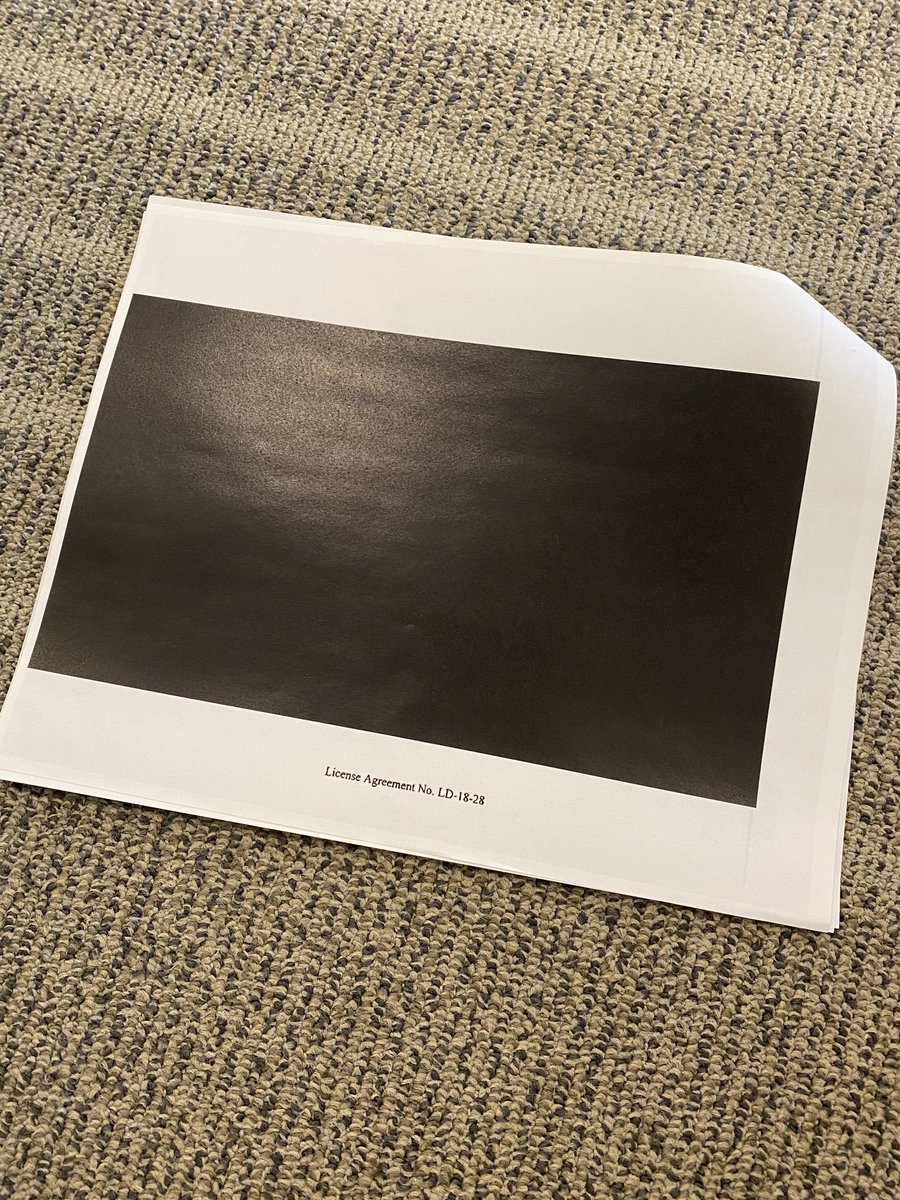 lori aratani tweet media