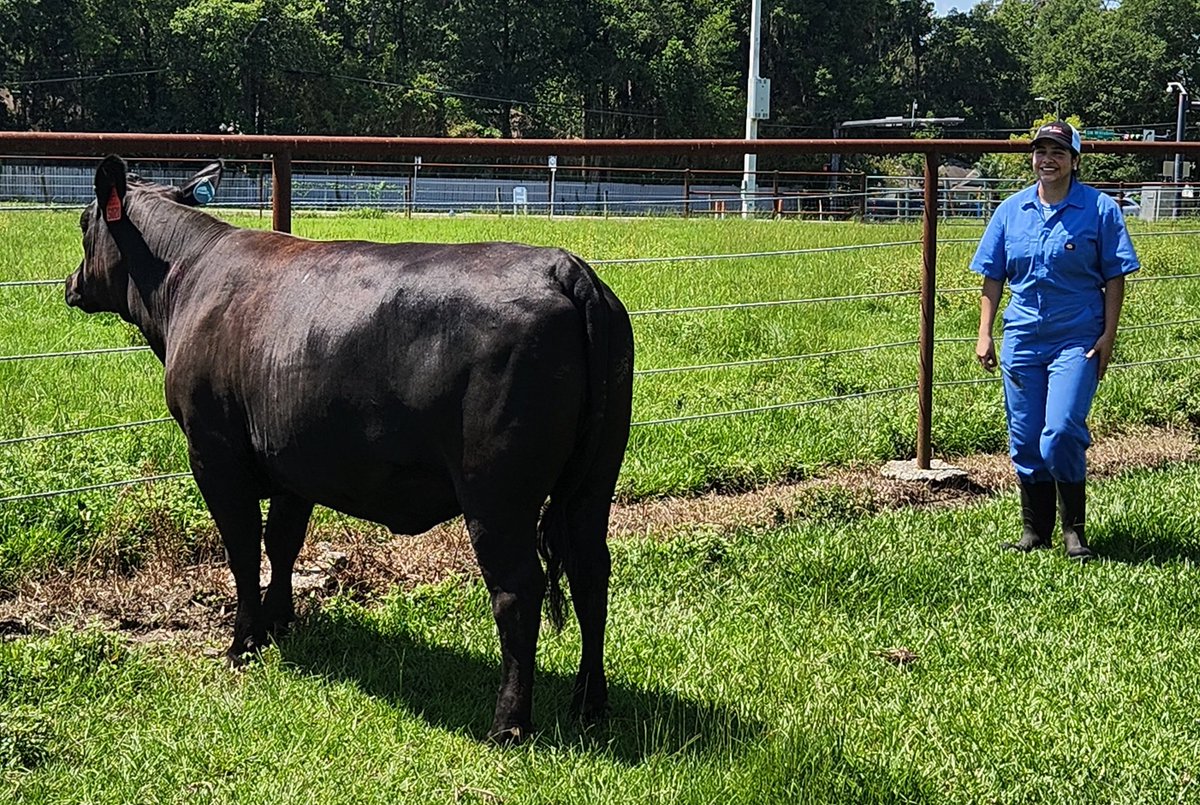 Peter James Hansen tweet media