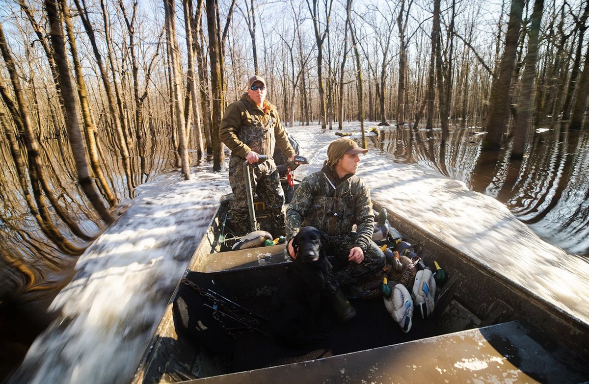 outdoorsmencom's tweet photo. Whew, this July heat has us ready for a cold morning boat ride back to camp from the duck blind!🥵💯
-
Join HuntPost Today 👉 https://t.co/fhxSuSapeK
-
-
#duckhunting #waterfowl #waterfowlseason #hunting #huntingseason #outdoorsmen #huntpost #conservation #duckblind #huntinglife https://t.co/DpUBwcA7bl