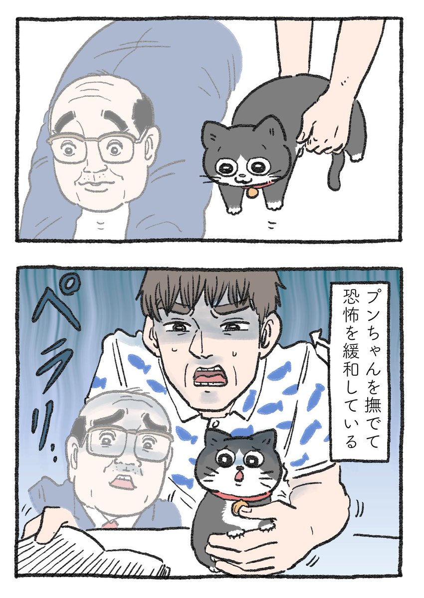 ねこに転生したおじさん。その173