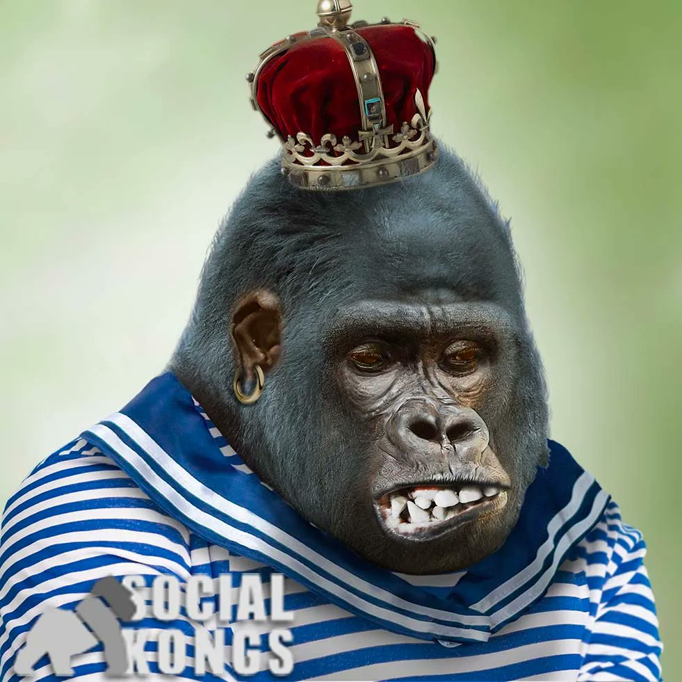 SocialKongs's tweet photo. 🌞 Rise and shine, #NFTCommunity! The digital jungle awaits! Wishing you a day full of exciting trades, rare finds, and #SocialKongs fun. Remember, every day is a new adventure with your Kong! 🦍 #GoodMorning #KongGang https://t.co/FDHty2reYJ