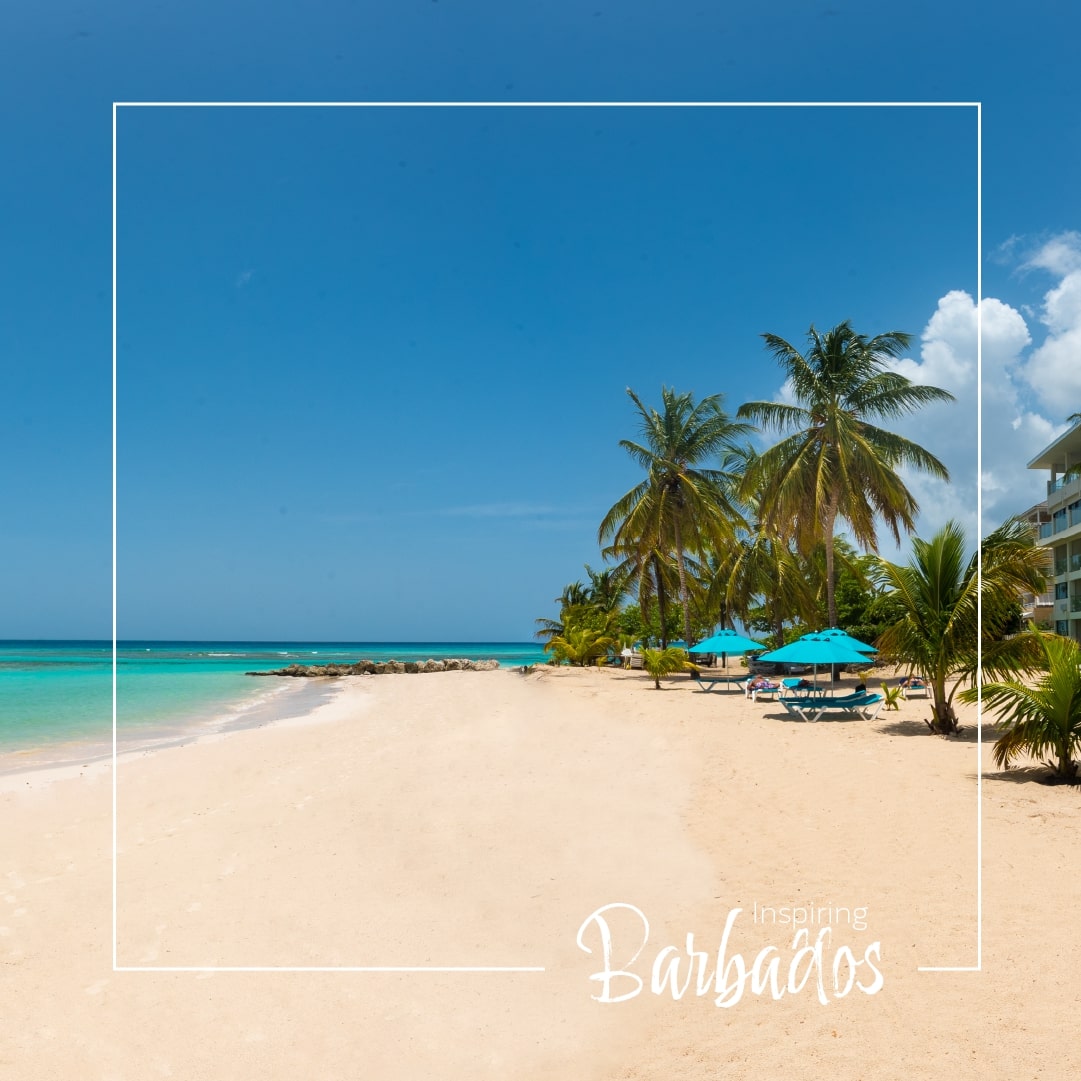 destination2uk's tweet photo. ✨Inspiring Escapes✨
📍The Sands, Barbados
7-Nights | All-Inclusive | Return Flights ✈️
From £1,569pp
BOOK NOW - https://t.co/wwZ1tUE1cB
#barbados #booknow #inspiringescapes #destination2 #visitbarbados https://t.co/UUBhsHHPAZ