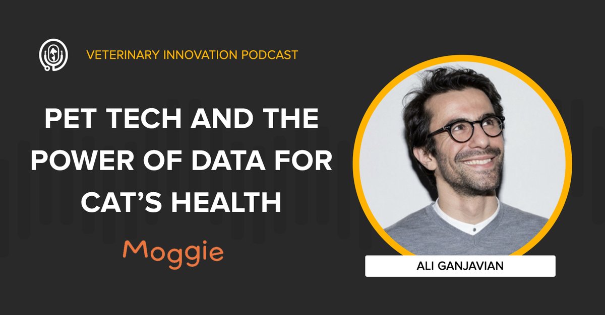 Veterinary Innovation Podcast tweet media