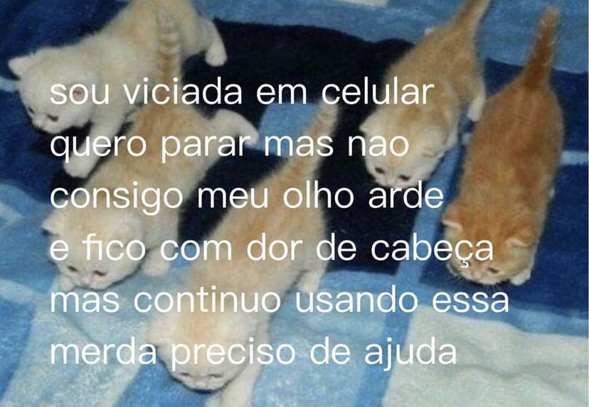 odeiootaco's tweet photo. https://t.co/wo2jQ8dMtM