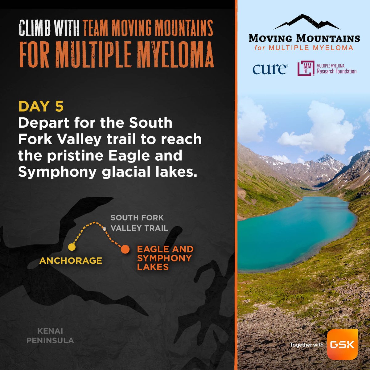 Moving Mountains for Multiple Myeloma tweet media