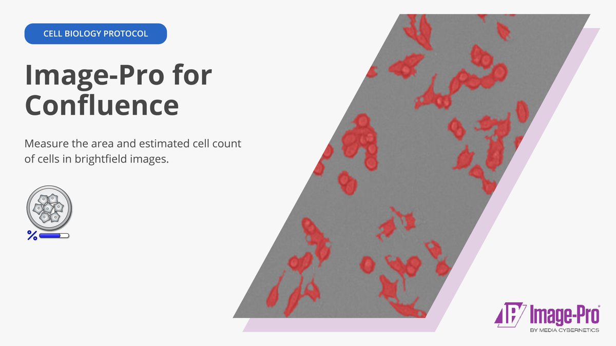 ImageAnalysis's tweet image. Throw away your current cell confluency measurement workflow 🗑️

❌ Subjective &amp;amp; introduce variability
❌ Time consuming
❌ Destructive

✅ Objective &amp;amp; consistent
✅ Fast &amp;amp; accurate
✅ Non-destructive

Get started: hubs.li/Q01Z223D0

#CellBiology #Confluence #CellCount