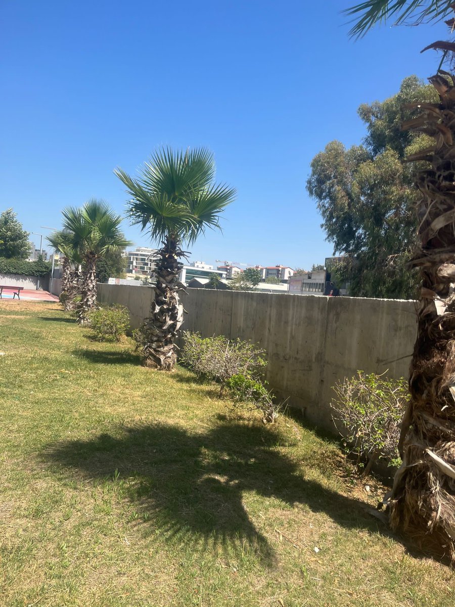 Kampüsümüzde yeni sezon hazırlıkları peyzaj çalışmaları ile tüm hızıyla devam ediyor 🌴🌳💪🏻 
Öğrencilerimiz ile buluşmak için sabırsızlanıyoruz 💜🤍

#UğurluOlmak