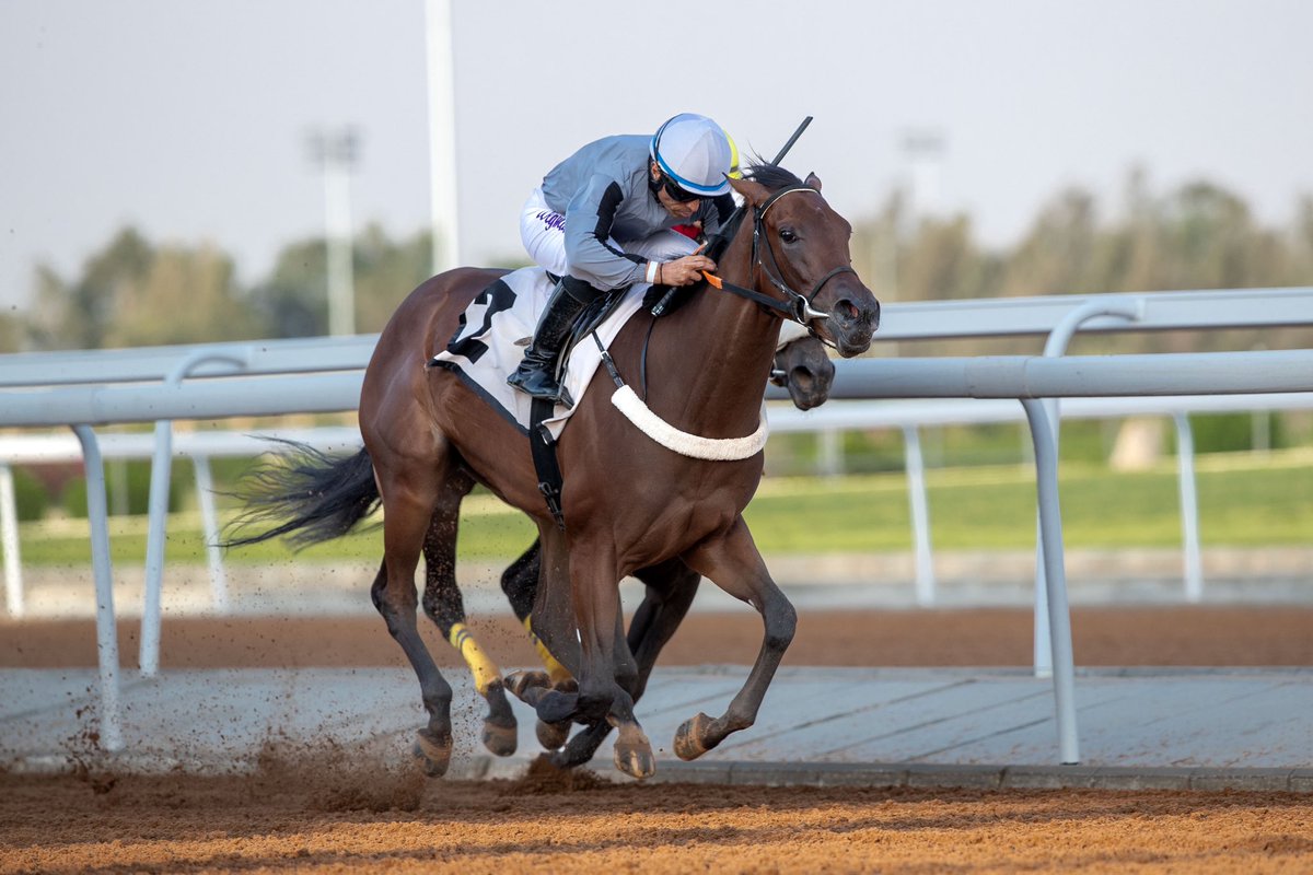 JockeyClub_SA's tweet photo. نتيجة الشوط الـ 4 الحفل ( 22 ) 

▫️الفائز : نفايل
▫️المالك : ابناء سلطان مسلط الازمع
▫️المدرب : ناصر الازمع
▫️الخيال : وجبرتو راموس 
▫️المسافة : 1400م
▫️الزمن : 1:36.05

#نادي_سباقات_الخيل 🐎 https://t.co/SmCWkQAIJN
