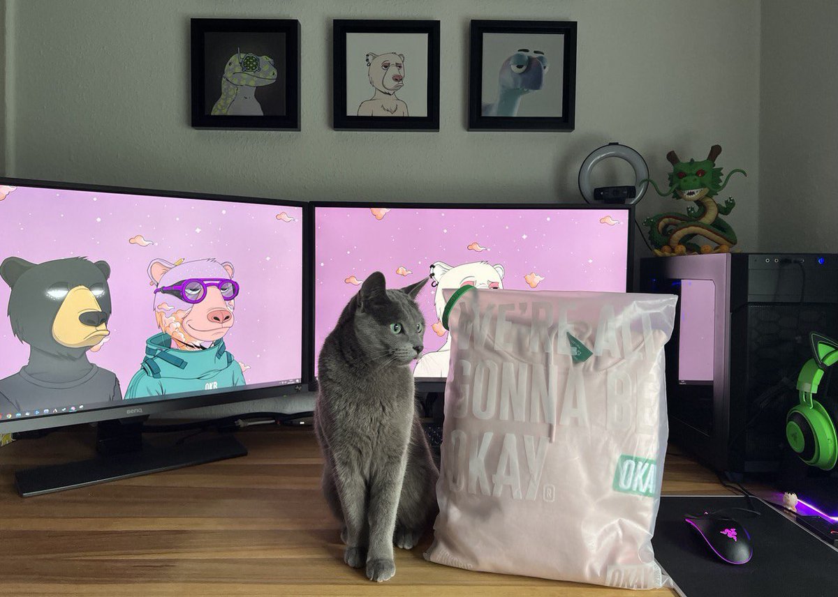 christina_myxa's tweet photo. My @okaybears hoodie has finally arrived and it was worth the wait.
I'm impressed with the quality and color and i can already say that it will be one of my favorite hoodies.
P.S. even my cat loves it and I can tell you that she has an exquisite taste #okdrip #okayhoodie #WAGBO https://t.co/WSp8cid4Zk