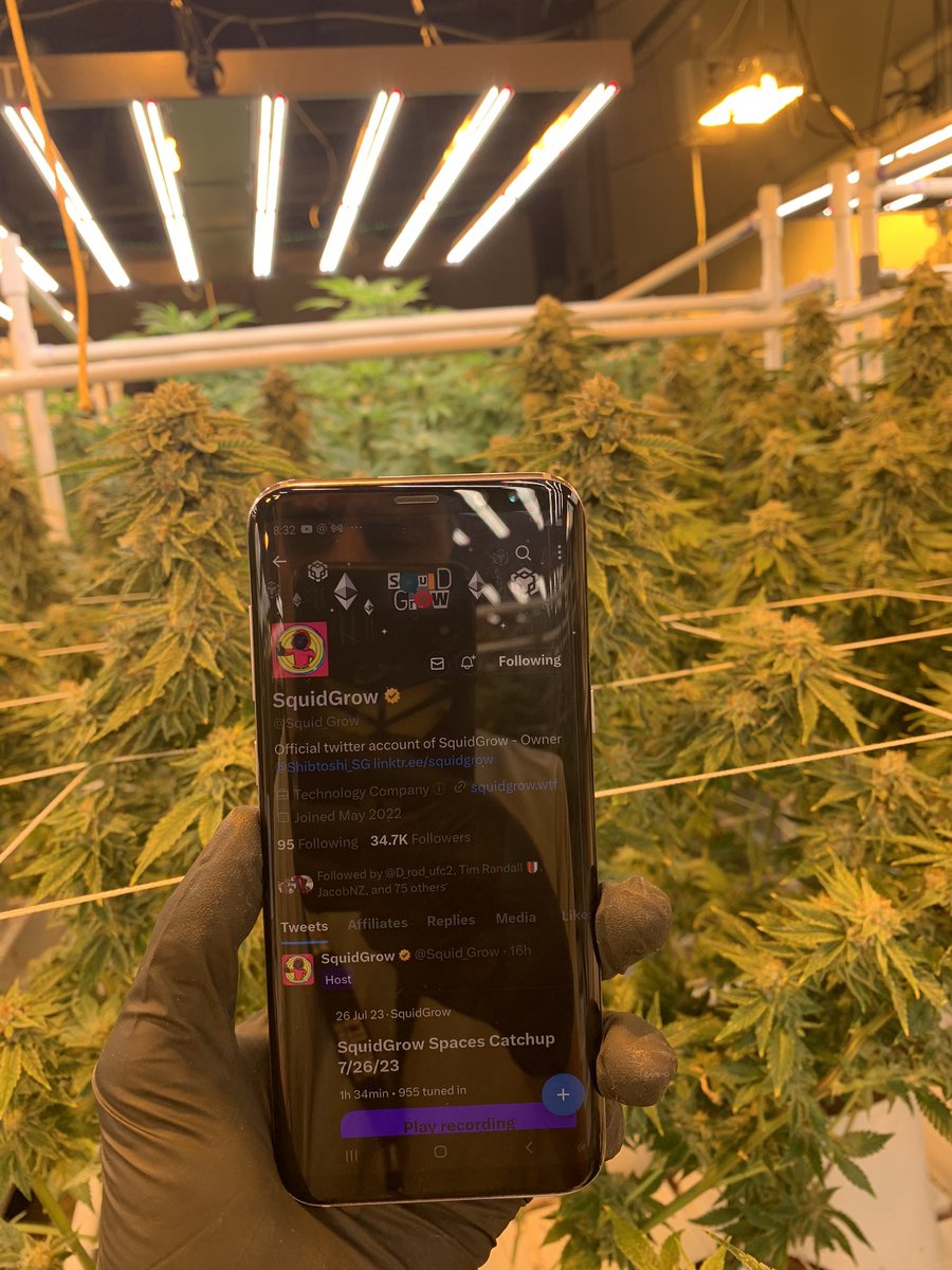 hydroclonez's tweet photo. #SquidGrow
#Nextcryptogem
#Denver
#Legalstate https://t.co/PFAt9oMtRy