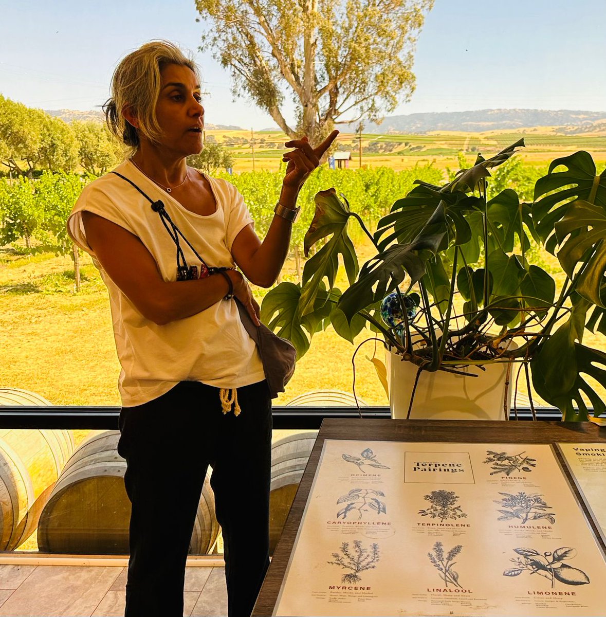 UNHLaw's tweet image. More photos from UNH Franklin Pierce School of Law's #IPSI and our amazing second week in Silicon Valley!  Students are in the classroom and in the field engaging with industry experts on a wide range of topics in #intellectualpropertylaw! #IPSI #powerhouse