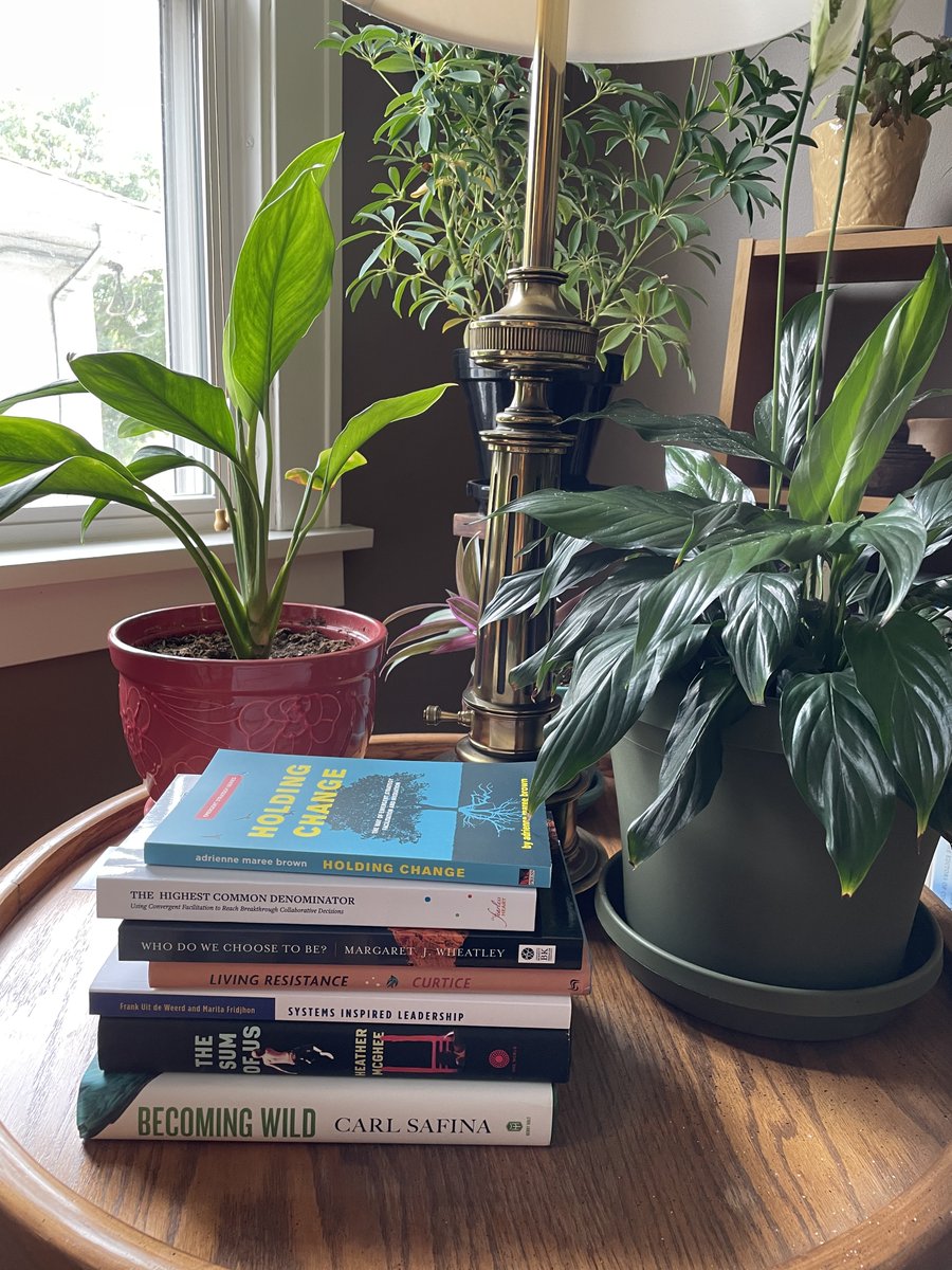 lisanegstad's tweet photo. For the first time since becoming an independent consultant, I'm taking (most of) the month of August off. I plan to rest, rejuvenate, get outside, get to some tasks that always get put off, and read. 

Here's the stack of books I've gathered for August. Anything I should add? https://t.co/FX2cyP0UmV