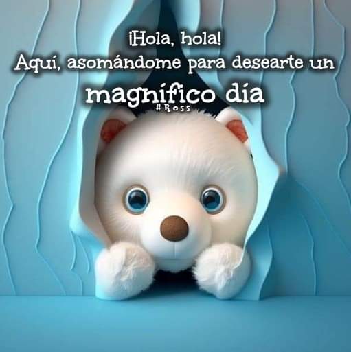 breengm2 (@brendagarciamu2) on Twitter photo 